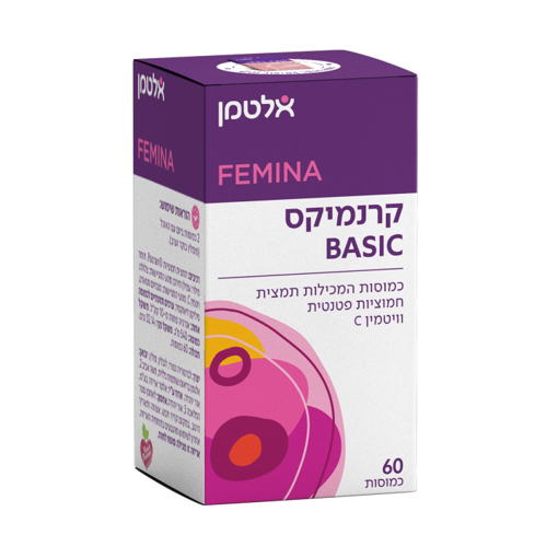 קרנמיקס BASIC